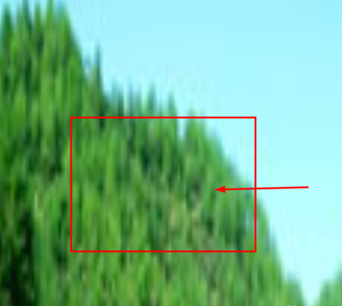 c1bbeca94ee3ba998022c140c4a398dc.gif