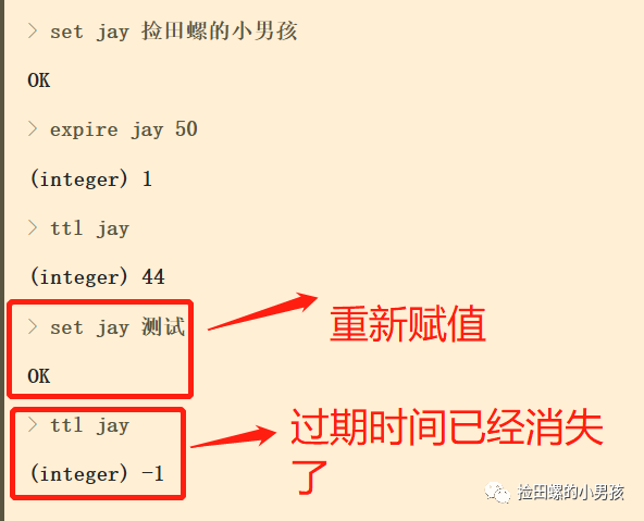 使用Redis，你必须知道的21个注意要点「建议收藏」