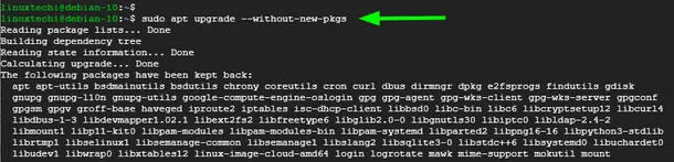 Upgrade-without-new-packages-Debian