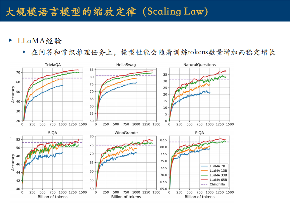 上交2024最新-动手学大模型_ide_05