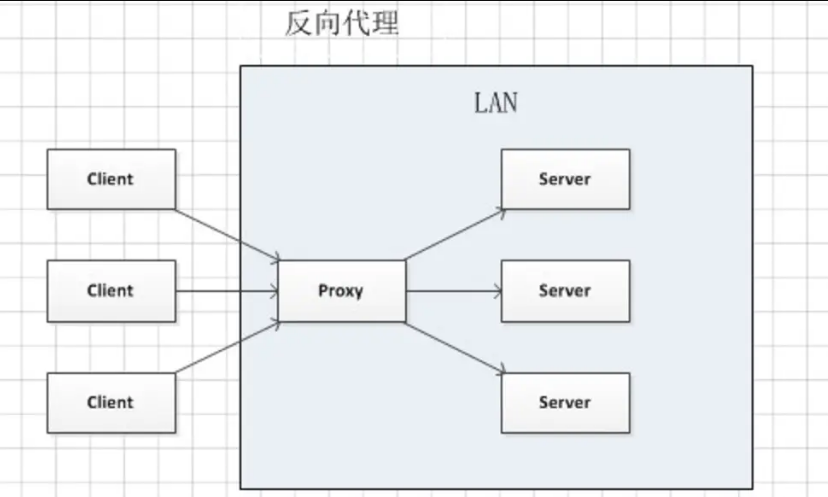 服务器反向代理