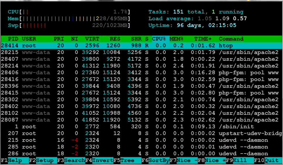 c236a97f3082044cab03dbbc97cf3e36.gif