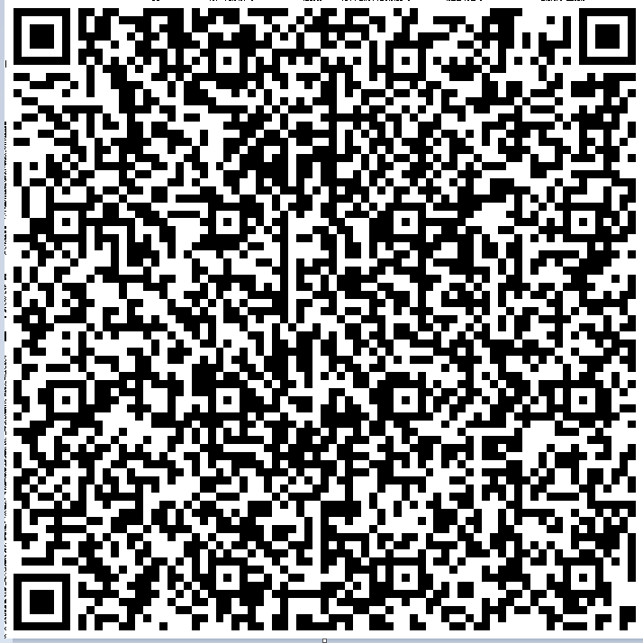 image-20210216191939446