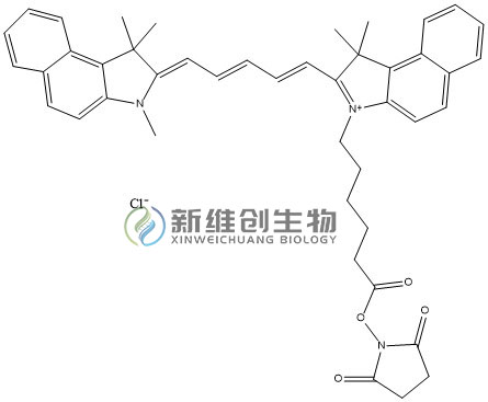 CY5.5-NHS水印.jpg