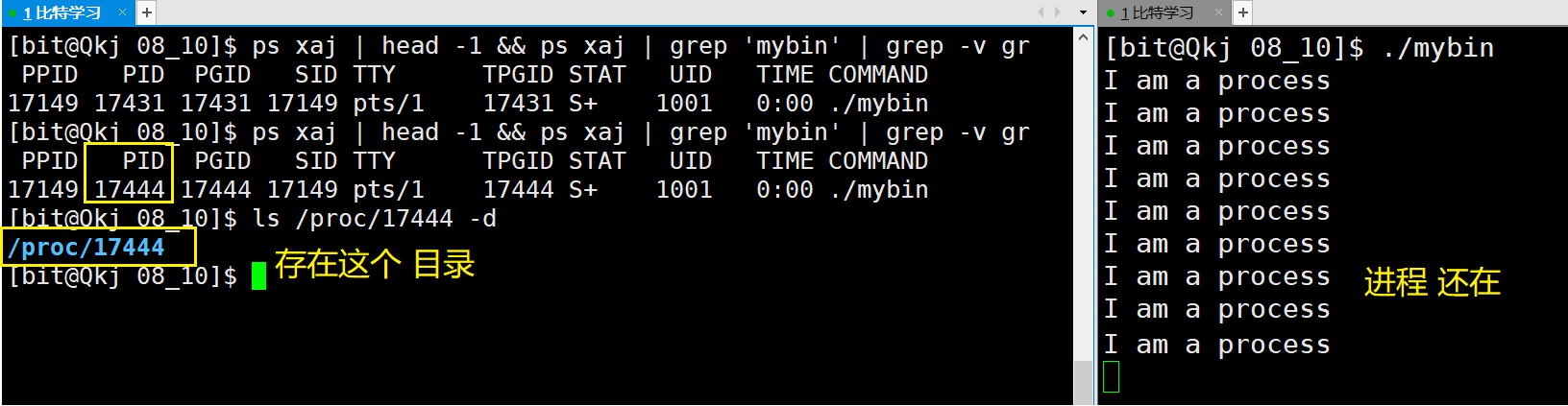 image-20220810111436206