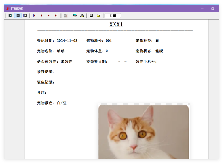 宠物登记打印预览.png
