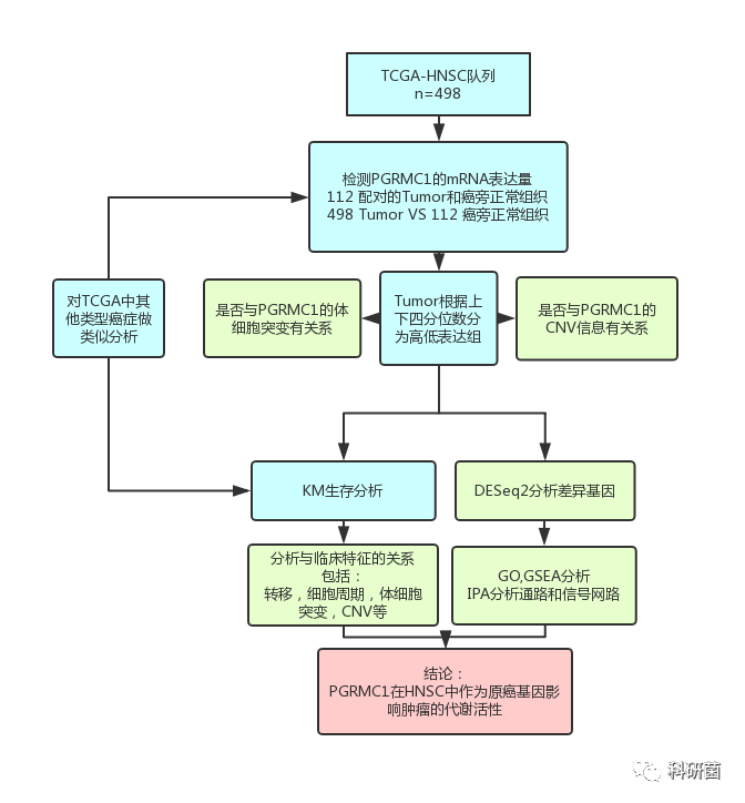 肿瘤突变负荷分位数 Csdn