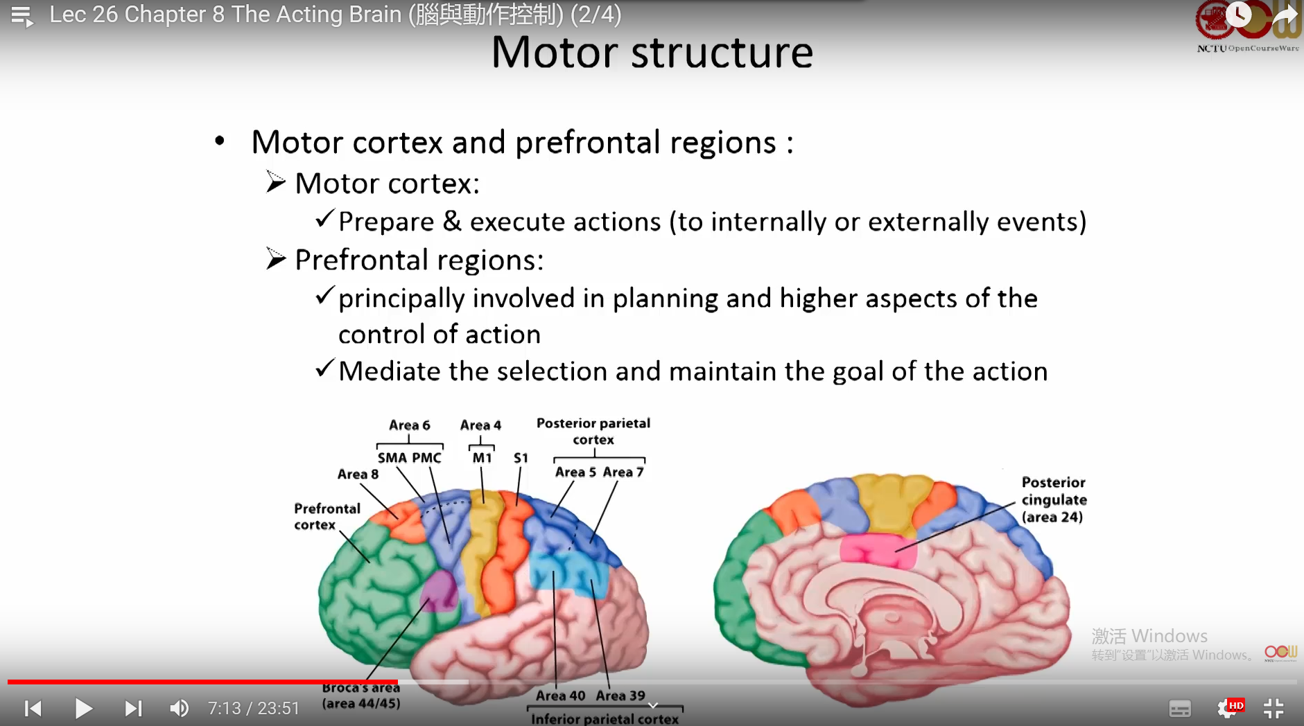 brainstructure图片