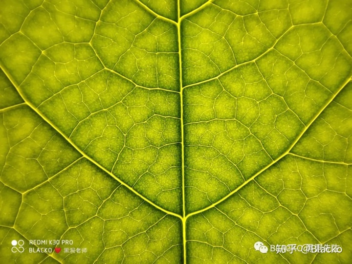 c29c70918a31e1c3e14a2c9be889b9c2.png