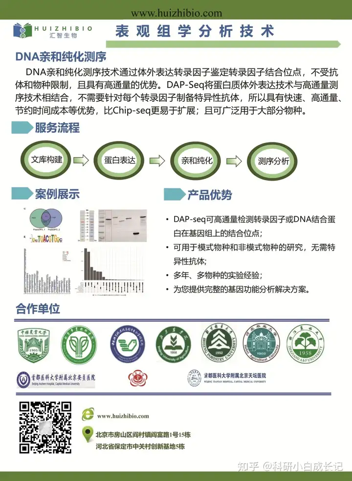 探索基因奥秘：汇智生物如何利用DNA亲和纯化测序技术革新生物医学研究？