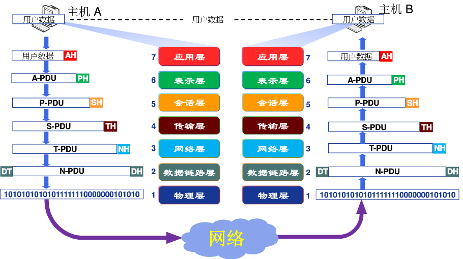 image-20200131124830239