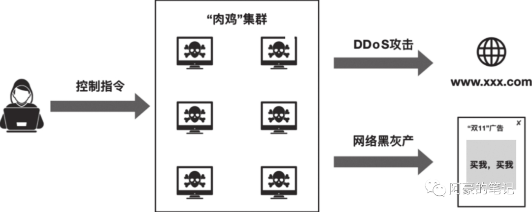 常见的网络攻击