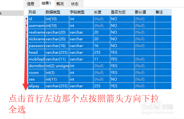 Navicat如何导出Excel格式表结构