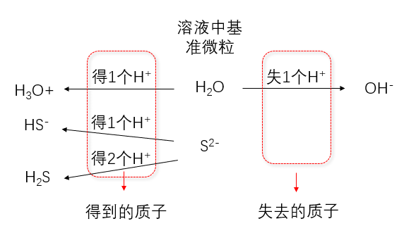 3,质子守恒