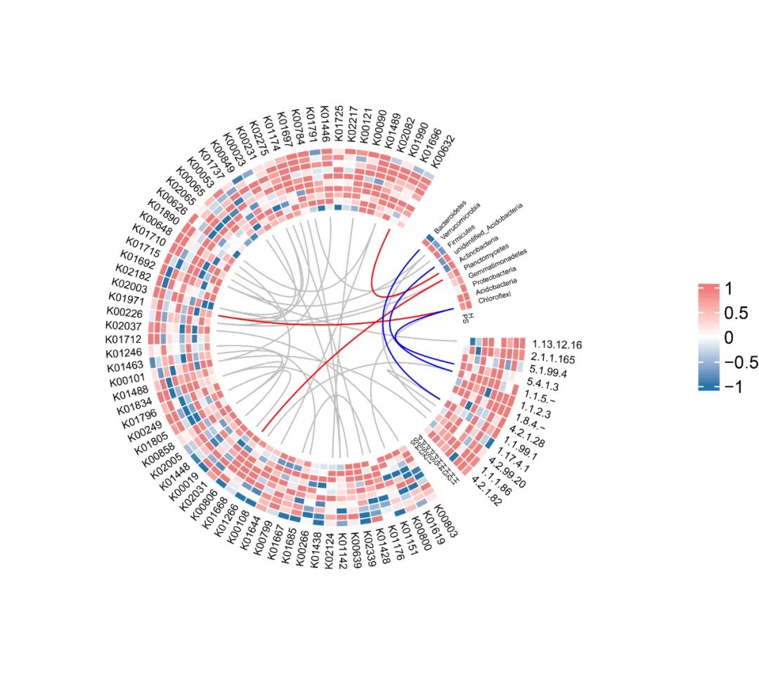 跟着iMeta学做图｜circlize绘制环状热图展示细菌功能聚类分析