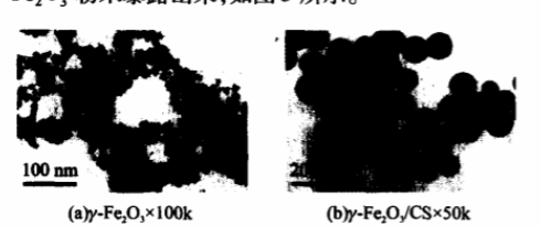 棒状磁性γ-Fe2O3伽马三氧化二铁纳米粒修饰凹凸棒/壳聚糖的制备方法_溶胶凝胶法制备的γ-fe2o3是什么颜色?-CSDN博客