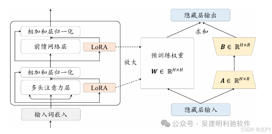 LORA的工作原理_权重