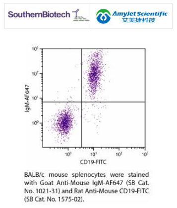 SouthernBiotech 山羊抗鼠IgM生物群说明书