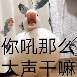 do vis是什么意思_duck不必什么梗?李佳琦放过鸭子吧表情包