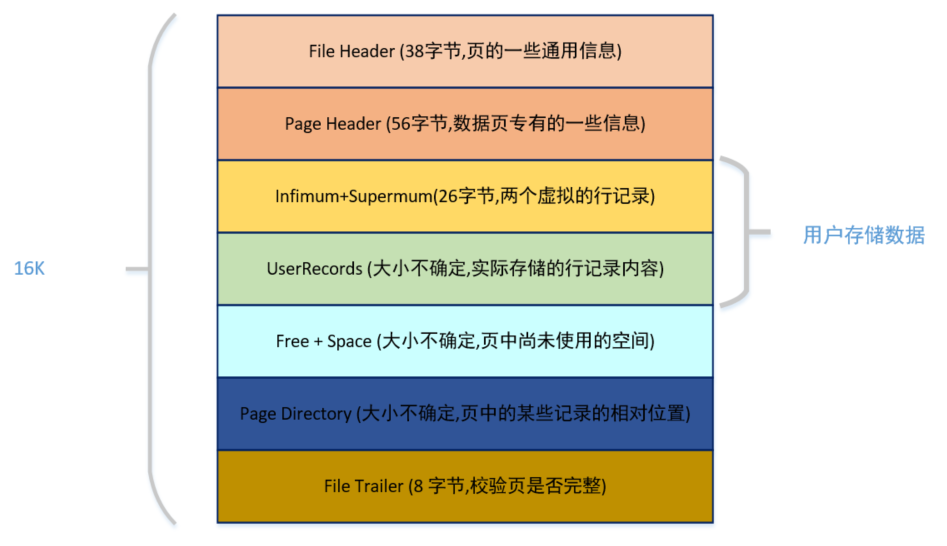 页的数据结构