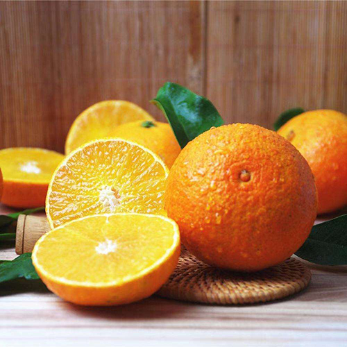 iphone11什么时候上市_重庆【红美人柑橘】什么时候上