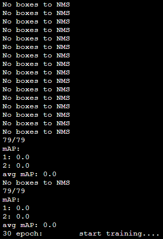 错误：EfficientDet网络出现“No boxes to NMS“并且mAP:0.0的解决方案