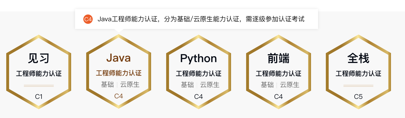 CSDN 能力认证计划：名企内推保 offer 直通车