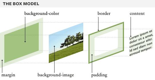 margin,padding,border顺序_margin怎么用