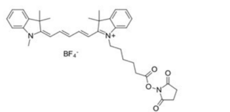 Sulfo-Cy5 NHS ester