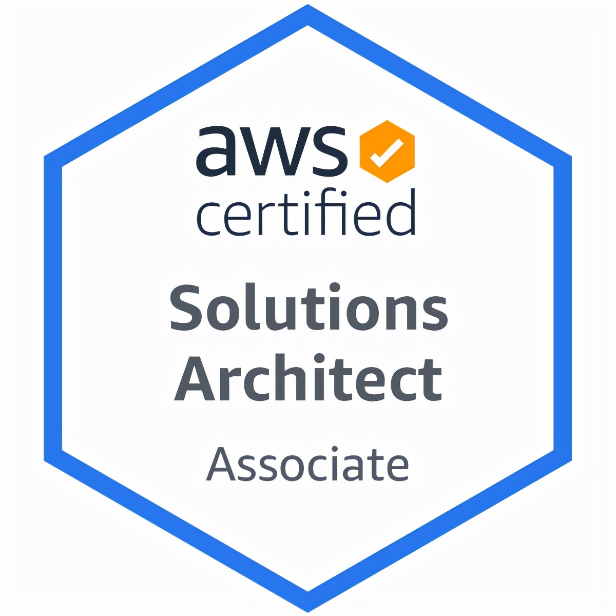 「SaaS培训认证」AWS Solutions Architect Associate