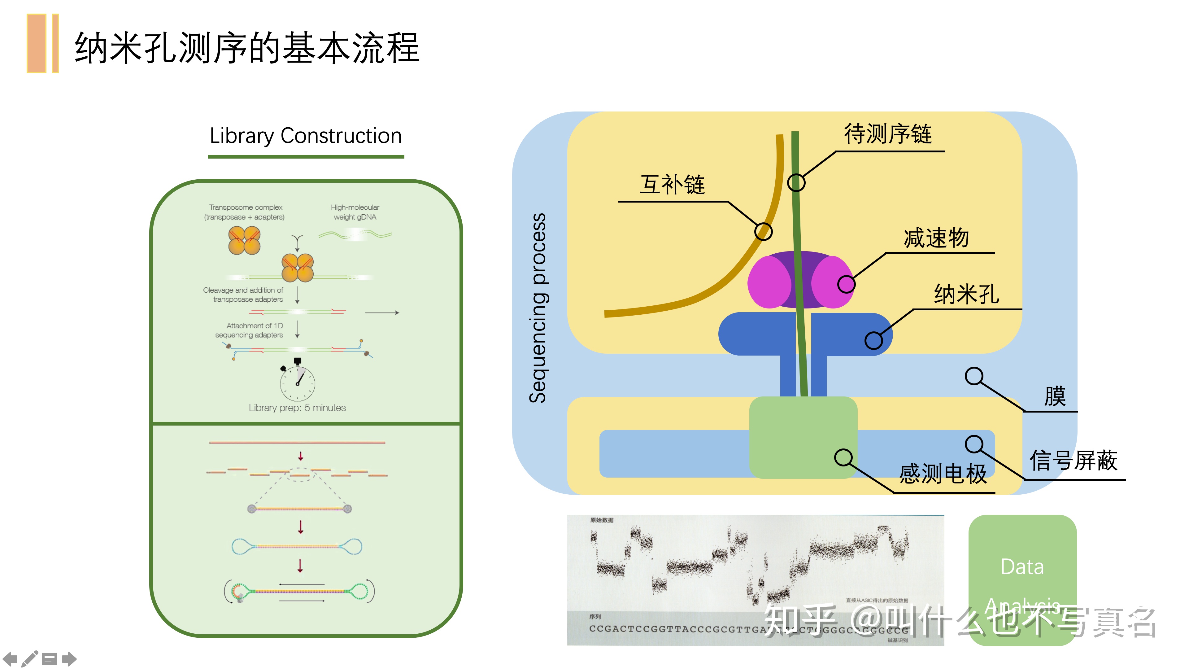 纳米孔测序技术如何 Wangchuang17的博客 Csdn博客