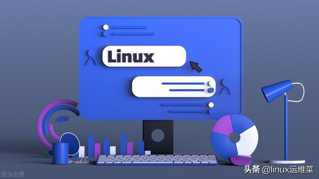 linux release 版本的区别,Linux 查看版本信息