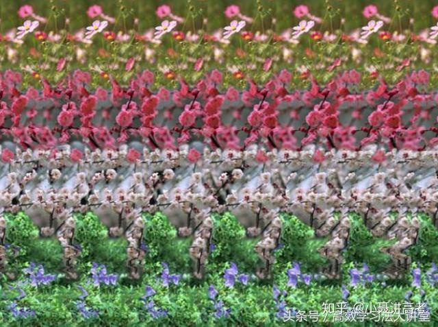 最后这副,3d图是利用双眼的视觉差异看出图片里隐藏的立体图像.