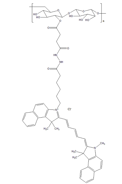 CY5.5-Dextran Cy5.5菁染料标记葡聚糖