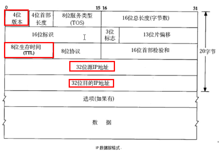 IP数据报格式