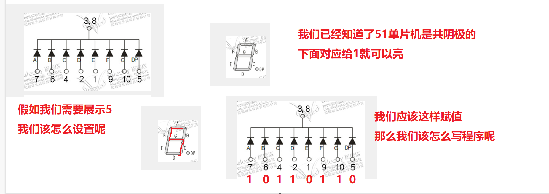 51单片机入门————数码管显示