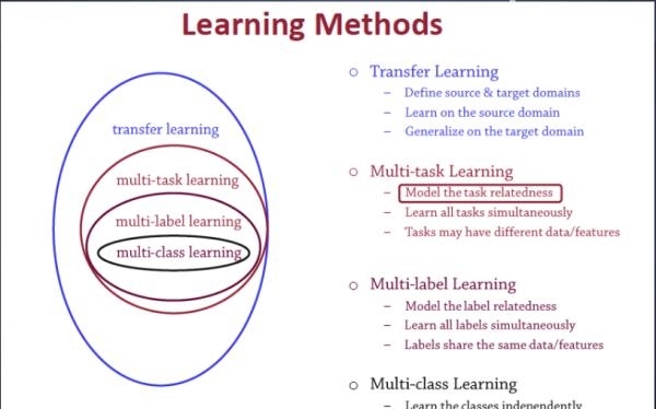 Multitask Learning