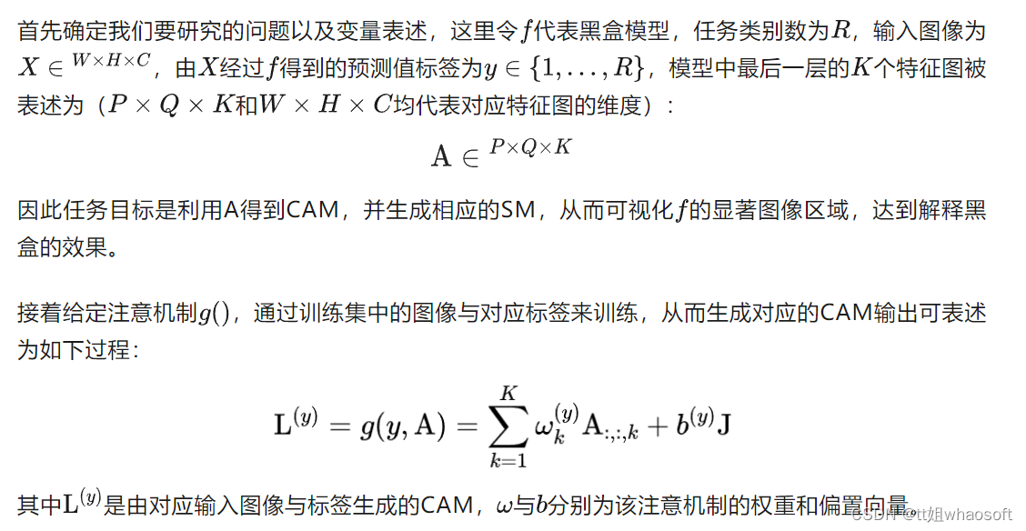 类激活方法_黑盒_02