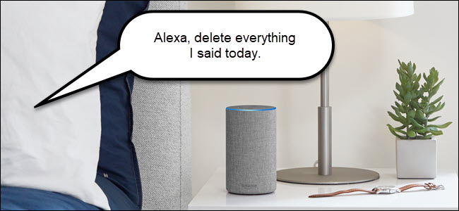 Amazon echo with speech bubble saying "Alexa delete everything I said today."