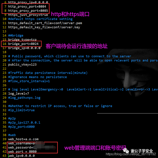 Nps内网穿透 Nps的使用 Weixin 39693193的博客 Csdn博客