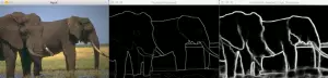 c4dcd8fef9e843d1b65ab986d9a583c6.png