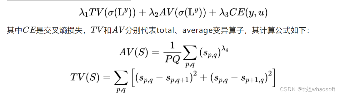 类激活方法_计算机视觉_05