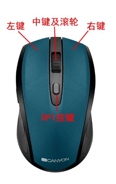 wpf 判断鼠标左键是否按下_新手从零开始学电脑1.3——认识鼠标