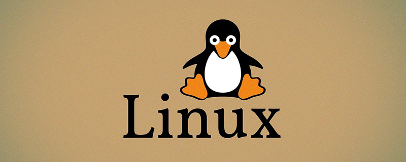 php 查看磁盘挂载,linux如何查看磁盘使用情况