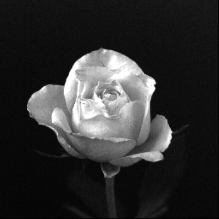 c54baa638fec40812f2e6303a7bf4527.png
