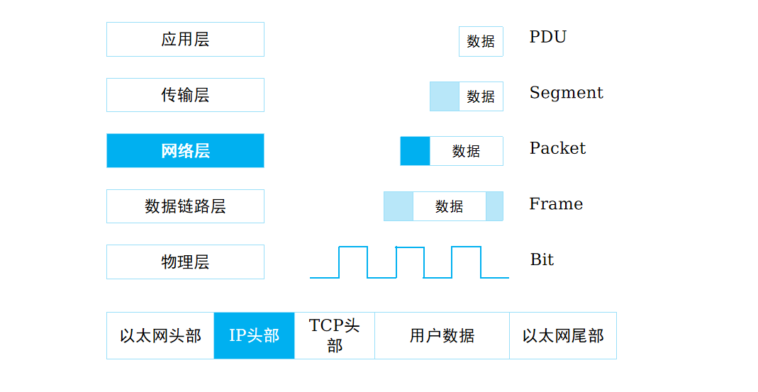 网络协议与 IP 编址