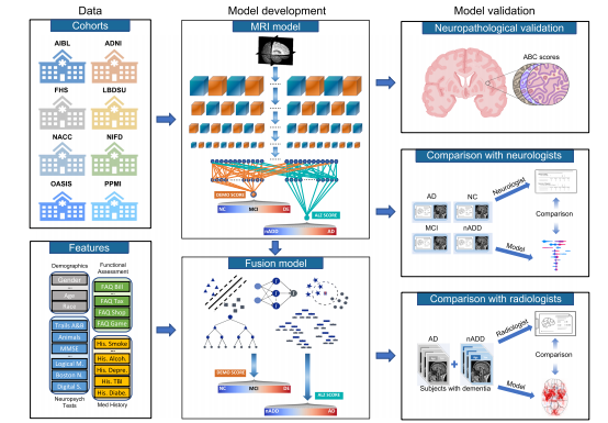 文献速递：多模态深度学习在医疗中的应用--多模态深度学习用于阿尔茨海默病痴呆评估