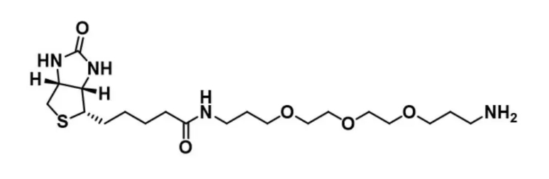 183896-00-6，Biotin-C3-PEG3-C3-NH2，可以选择性降解靶蛋白