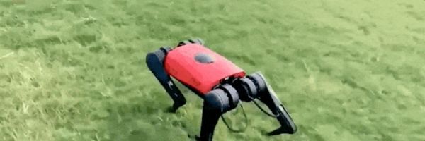 c5fc8f1f16021c112f71b16353aa754d.jpeg