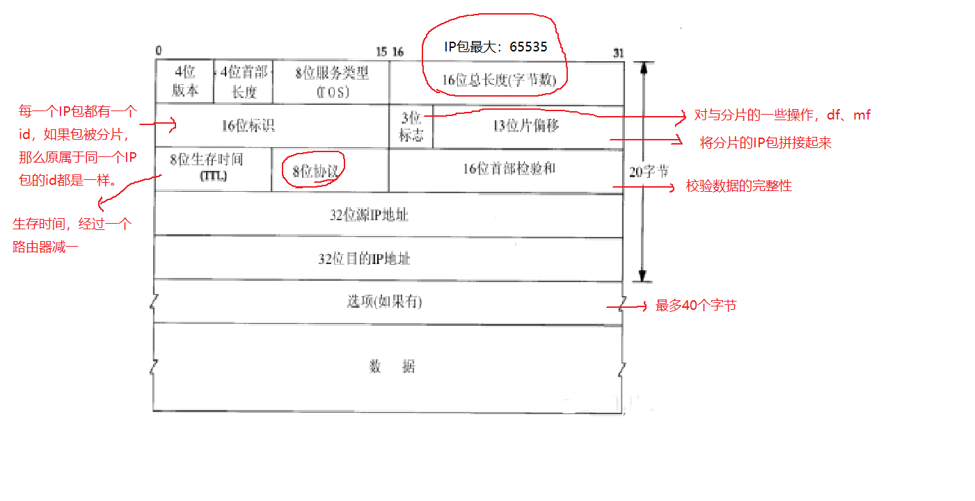 IP首部